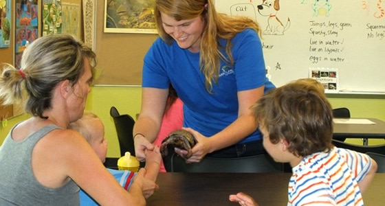 The Allegheny River and PNC Park  ClipPix ETC: Educational Photos for  Students and Teachers